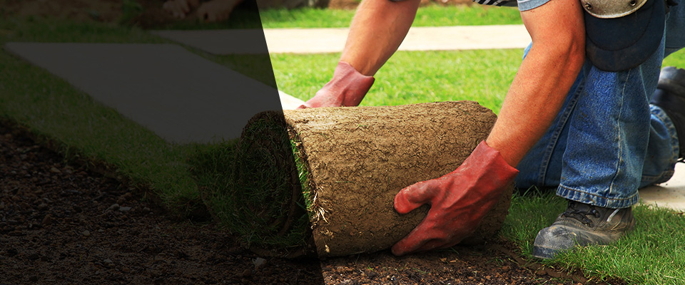 Forest City Landscapers